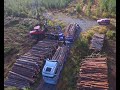 Volvo FH 16 750 timber truck loading
