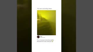 Man Recording Dreams