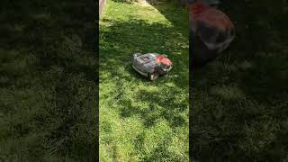 My lawn maintenance is on autopilot! 🤖🌱 #robot #lawnmower #smartgarden #lifestyle