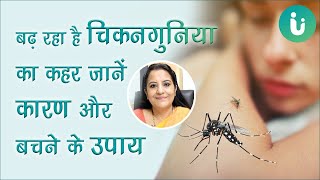 बढ़ रहा है चिकनगुनिया का कहर जानें चिकनगुनिया बुखार के लक्षण, कारण, इलाज और बचने के उपाय screenshot 3