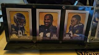 Another indebted Look at Section 3 of my Minnesota Vikings Collection @grownassmentoyz