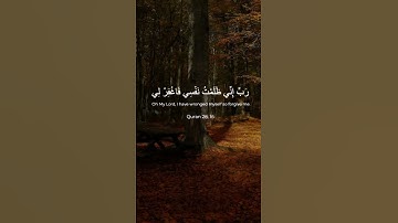 القرآن الكريم/سورة الشعراء ياسر الدوسري/ اللهم صلِ على محمد وآلِ محمد (١٢)/اكتب شيء تؤجر عليه💗