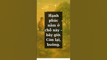 TS Ajahn Brahm Hạnh phúc thật sự nằm ở đâu? #hạnhphúc #hiệntại #buôngxả