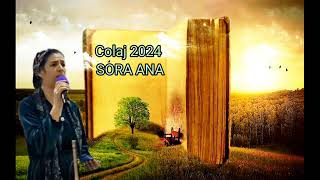 colaj 2024 sora Ana 3 melodii super faine #resursedincer