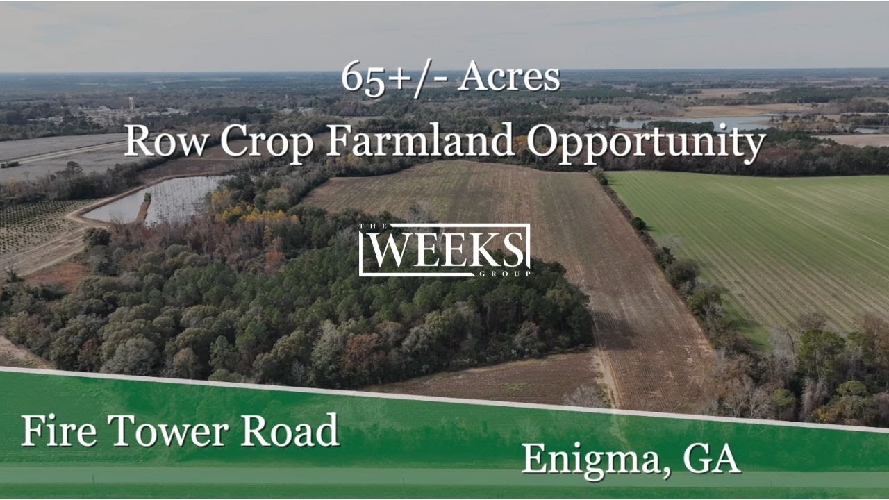 65+/ Acres Row Crop Farmland Opportunity Berrien County,