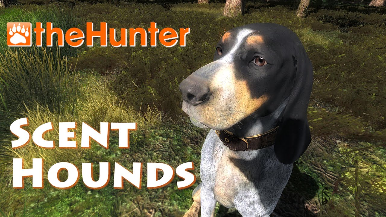 Scent Hounds - theHunter 2016