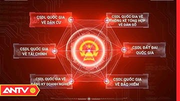 Lợi ích kết nối, chia sẻ cơ sở dữ liệu quốc gia về dân cư | ANTV