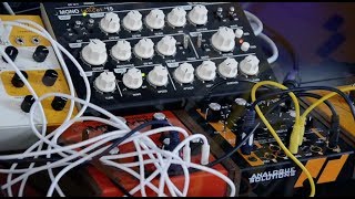 Treadstone-Ogue Solutions & Vermona Mono Lancet 15