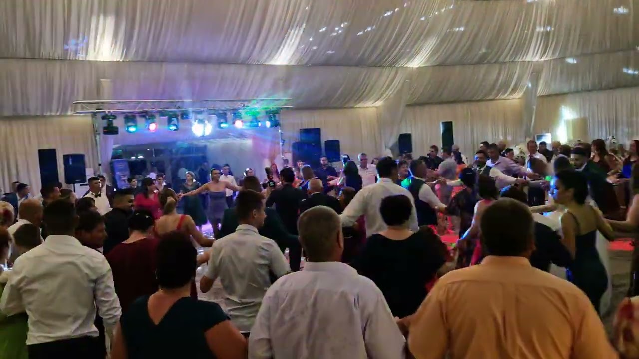 Dj evenimente  , Formatie nunta Ploiesti , Bucuresti , Formatia Exotic