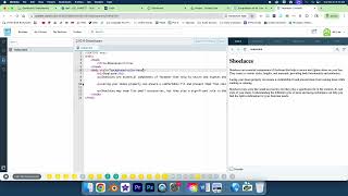 Web Development 1 CodeHS 2.10.4 Shoelaces