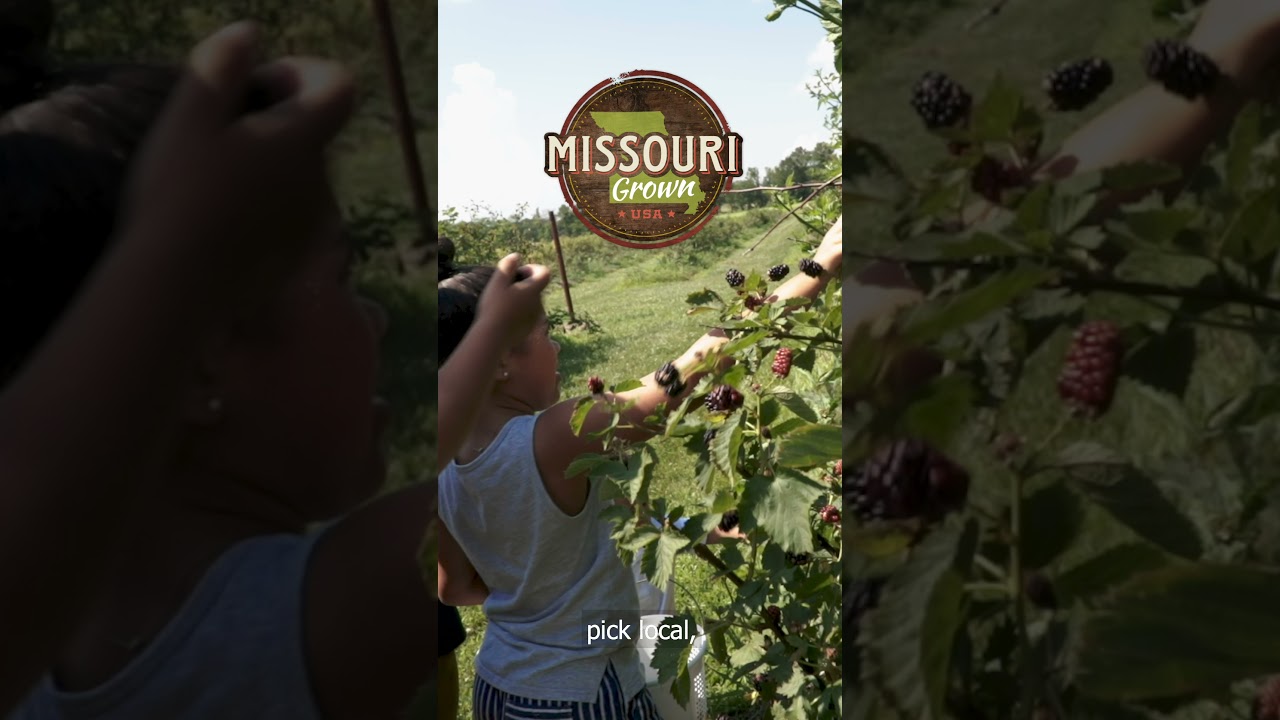 Missouri Grown Promotional Video