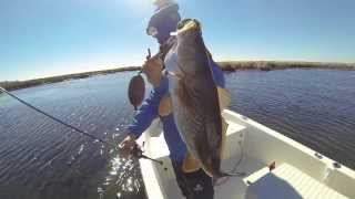 Whatever Bites- Get Skinny