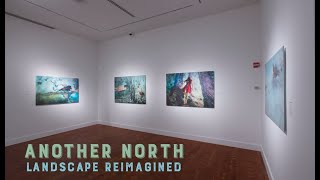 Another North: Landscape Reimagined