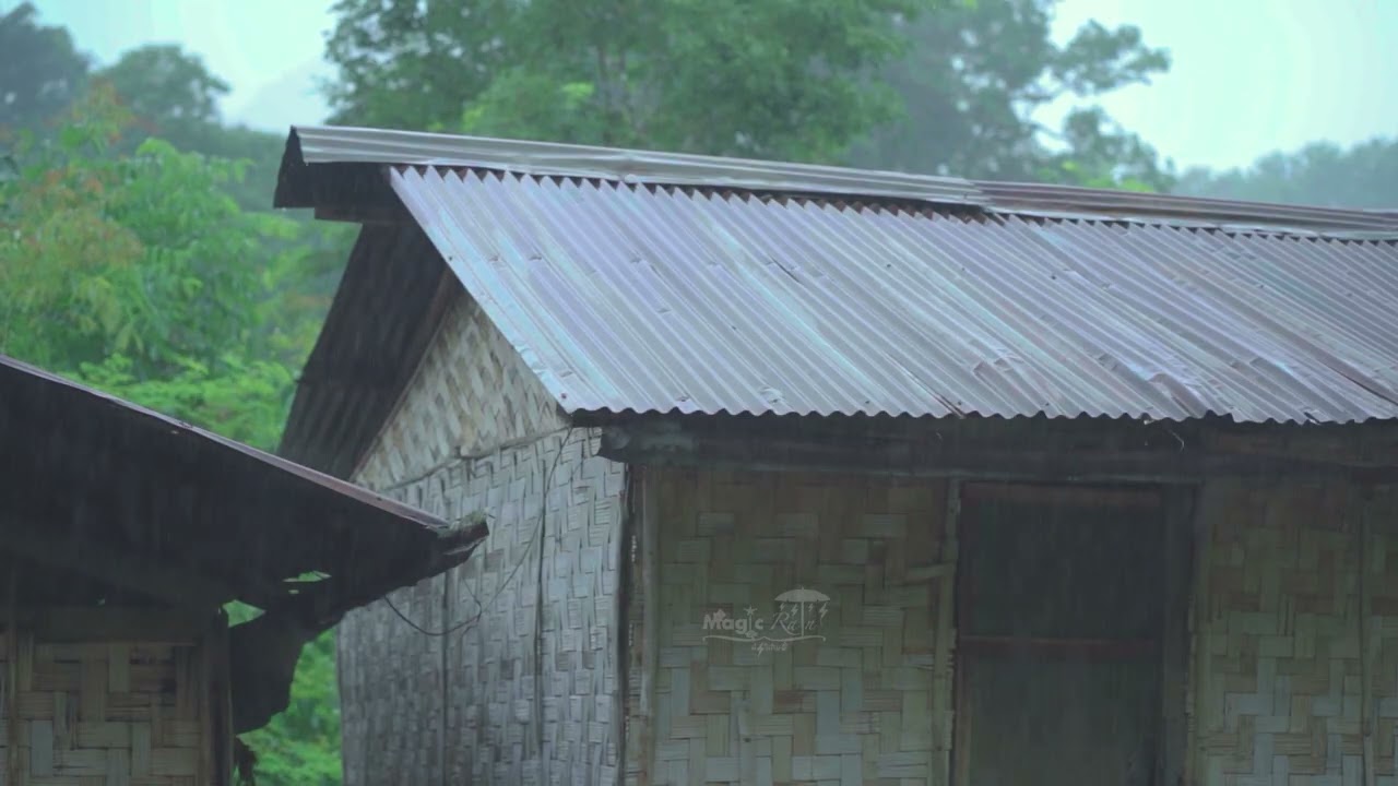 เสียงฝนตกกระทบหลังคาสังกะสี เสียงนกร้องในป่าและเสียงฟ้าร้องฟังเพลินก่อนนอน 5 ชั่วโมง 