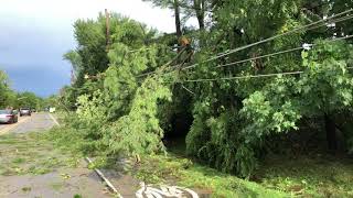 Storm aftermath along Spring Brook Road in Rockford
