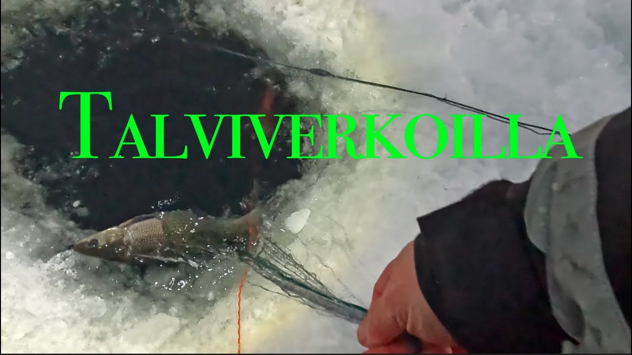 Talviverkoilla 12.3.2025 | Ivalo