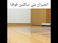 جاري ياجاري يا حته سكرة 