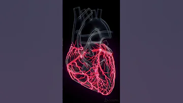 Coronary blood vessels of your heart  #anatomy #meded #3d