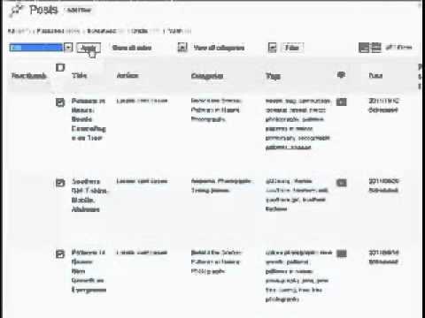 How to use WordPress Bulk Edit to change author names on posts