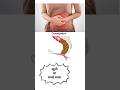 Pilex Tablet kitne dino tak le sakte hai #constipationhomeremedies #constipation #pilex #kabjkailaj