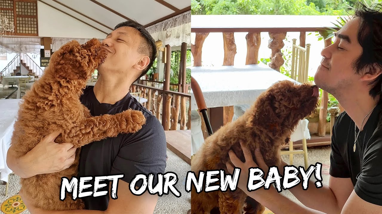 Meet Our New Third Dog 