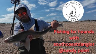 The Hounds Are In at Sandy Point, Hayling Island. With the southcoastdangler!