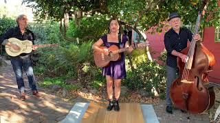 Video thumbnail of "Evie Ladin Band - Shadow of the Pines - Carter Family"