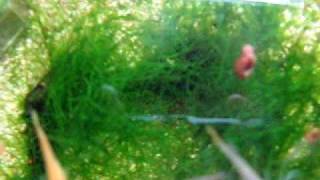 MVI_4914.AVI