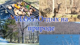 Жизнь в США VLOG: Природа, где отдохнуть от каменных джунглей города Жизнь в США VLOG: Природа, где отдохнуть от каменных джунглей города