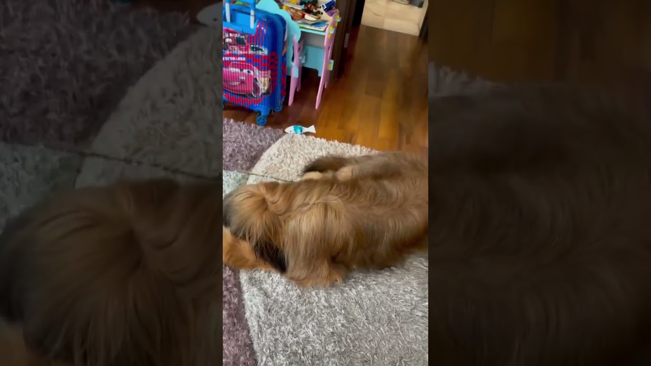 Называется “бросил кости“😁 Тгк:Брюша 