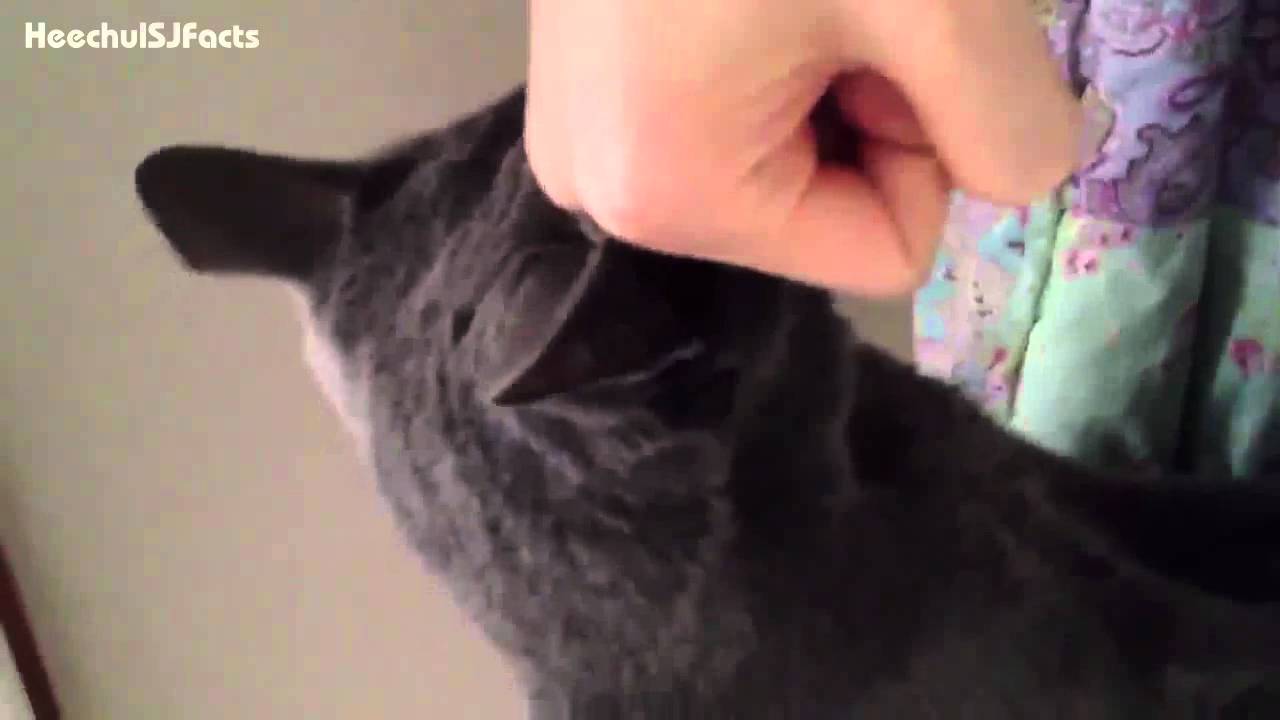 [ENG SUB] 120124 Heechul twitter update: Playing with Heebum~