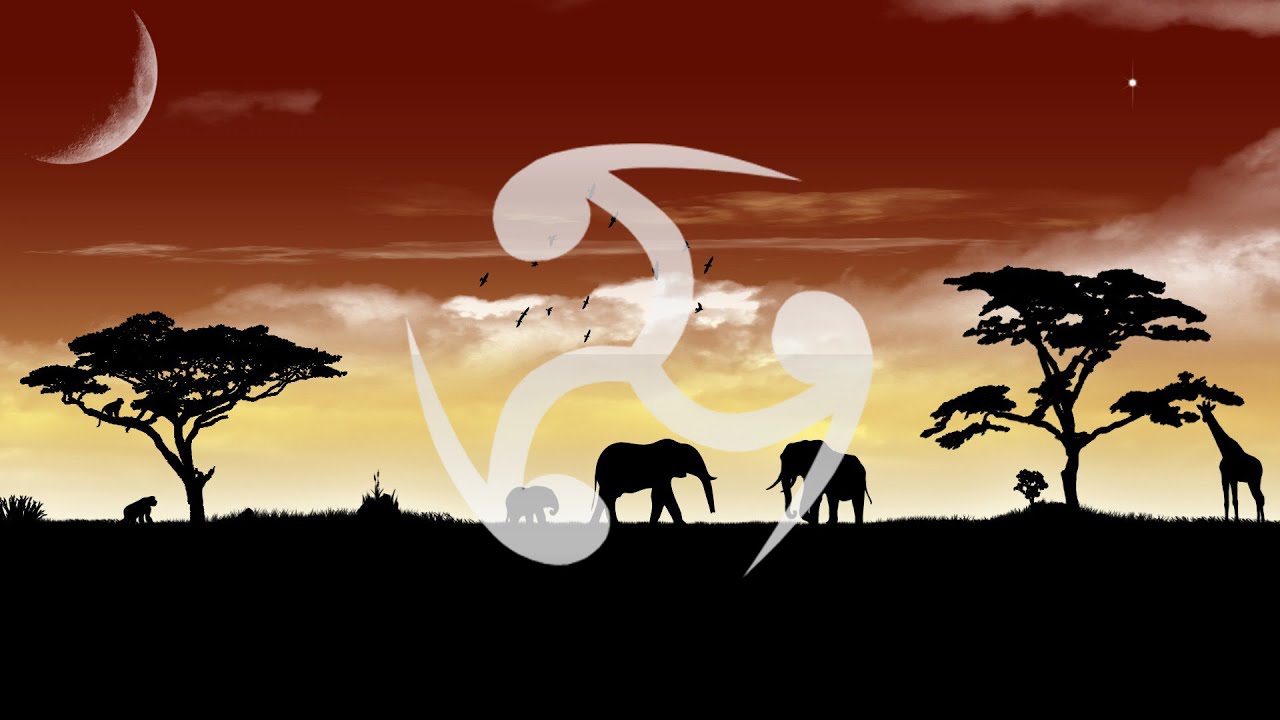 Showback X Chris Nois3 - Wild | Музыка без авторских прав