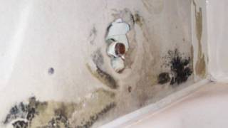 Black Mold behind Plastic Bathtub Surround - Bathroom Demolition and Remodeling Wealth