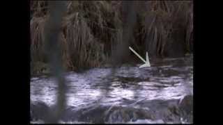Bbc Winterwatch 2014 - Episode 3 Part 1