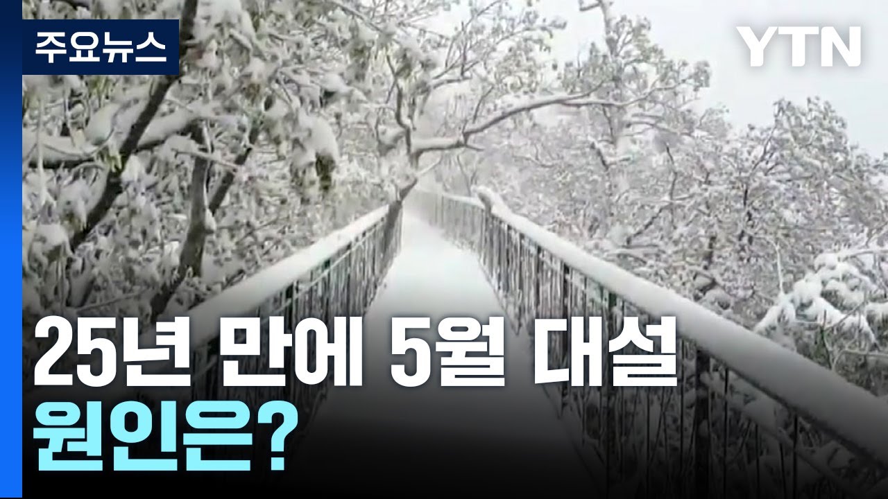 25년 만에 가장 늦은 5월 대설, 원인은? / YTN - YouTube