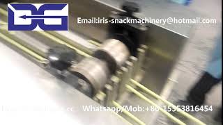 Jinan DG Crispy Bean Snack Extruder Machine made in China