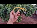 COMO FAZER UM ESTILINGUE.  HOW TO MAKE A SLINGSHOT