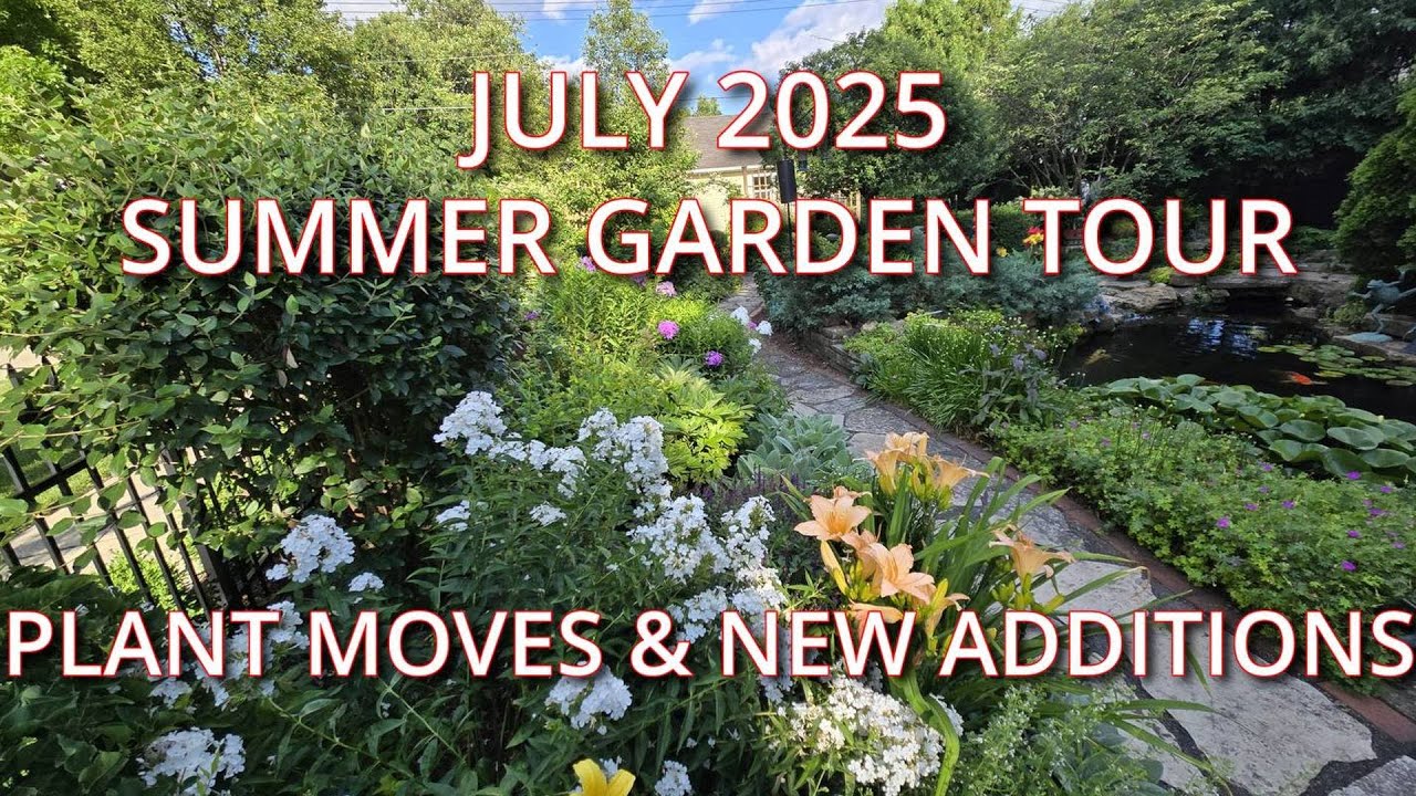 Summer Garden Makeover: Planting Ideas, Transplants & Fixing Problem Areas