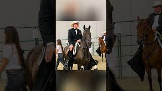 ✨MEMORIAS DEL CABALLO✨🐴MIXTURA DE LA BETULIA🐴