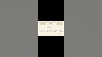 #سورة_الإنسان (٣١) Surah Al-Insan (31)