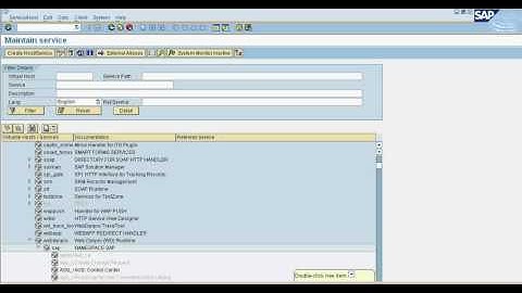 SAP Solution Manager Solution Documentation Assistant.avi