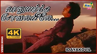 வானுயர்ந்த சோலையிலே...| Idayakovil | Mohan | Radha | Ambika | Ilaiyaraaja | Raj4K Songs