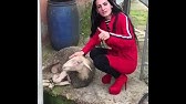 prenses elif 2 yaşında