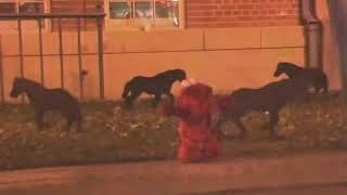 Soundhound Nikita Hopkins