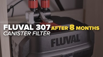 8 Months Update & Maintenance Fluval 07 Series Canister Filter | Fluval 107 207 307 407