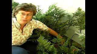 Water Shut-Off Valve for Home Water Conservation Tips