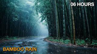 Quiet Rain in the Open Wilderness