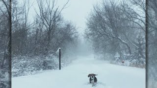 Viewers Send Us Their Great Weather Pics From Monday’s Snow