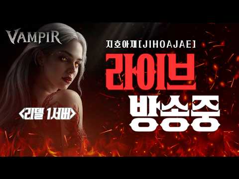 Vampir Shuffle Timing: What the “D-6” Update Title Says