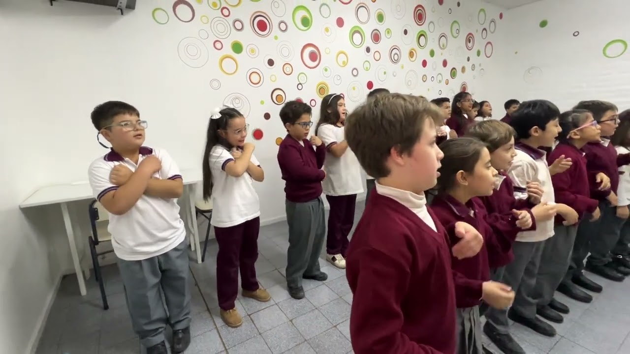 Tercero D Colegio Luján. Argentina te quiero en LSA